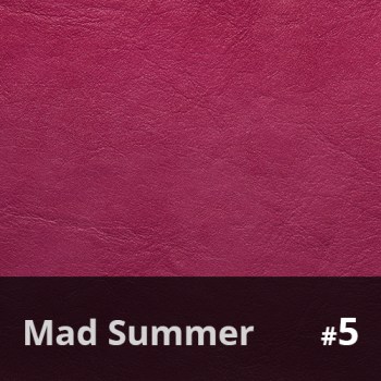 Mad Summer 5